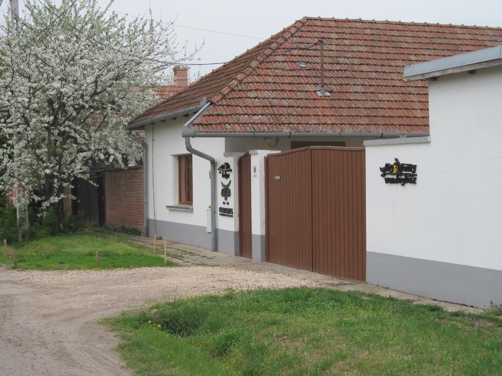Rigófütty Vendégház Tiszaalpar Exterior foto