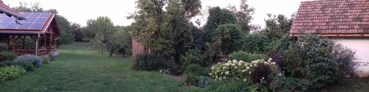 Rigófütty Vendégház Tiszaalpar Exterior foto